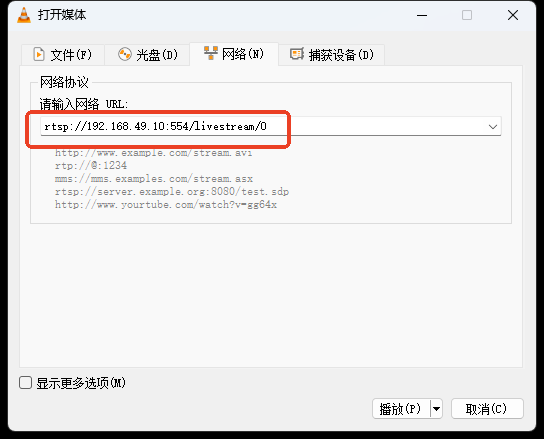 Entering the network URL
